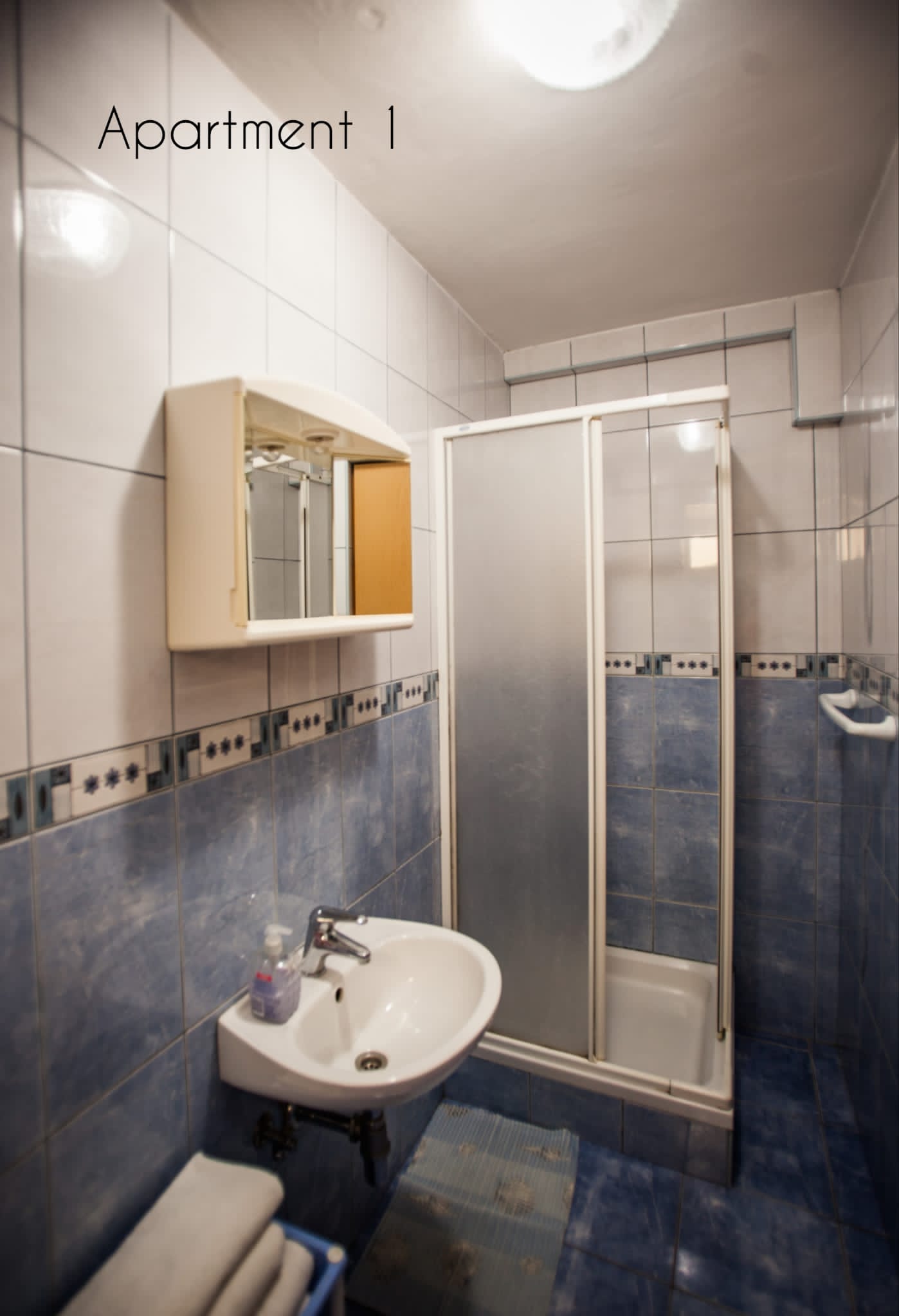 Apartment 1 – Badezimmer mit Dusche